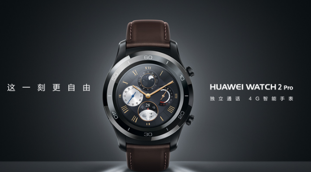 Huawei/华为 WATCH 2和HUAWEI WATCH 2 Pro 4G智能手表哪款好?