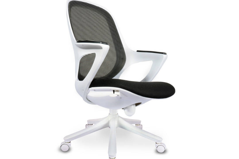 Ergomax电脑椅价格图片？Ergomax电脑椅对腰好吗？