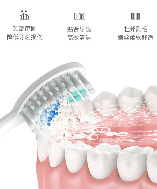 西马龙ZR501高性价比声波电动牙刷 你的第一支电动牙刷